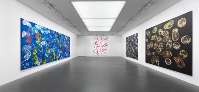 BUBLINY ŠVÝCARSKÝ